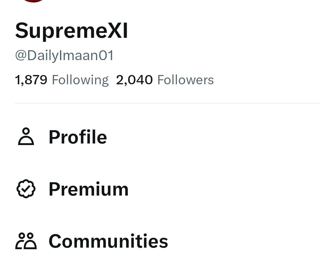 Social Media account screenshot — @DailyImaan01