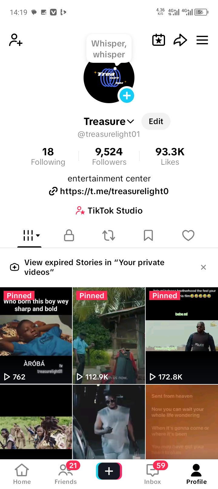 Social Media account screenshot — Treasurelight01