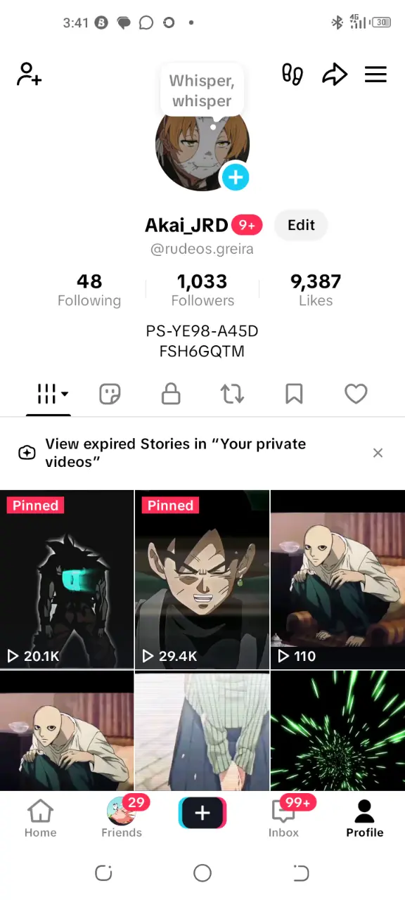 Social Media account screenshot — rudeos.greira